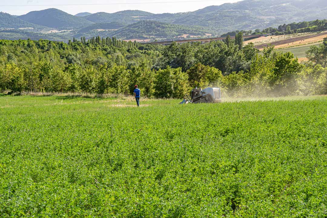 porta-attrezzi-cingolato-radiocomandato-tmu40-9